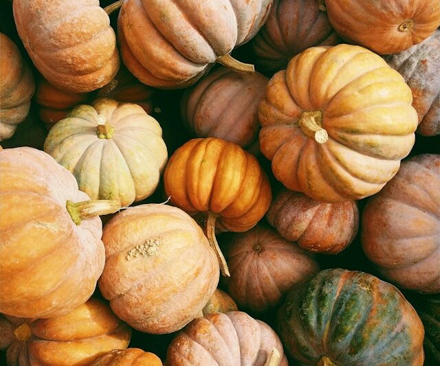 What to do in Bristol this autumn